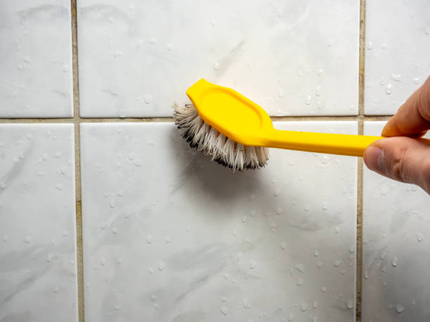 Best Office Mold Removal Services  in Arcola, VA