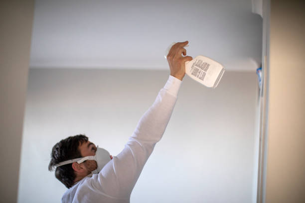 Arcola, VA Mold Removal Company