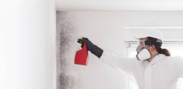 Best Residential Mold Removal  in Arcola, VA