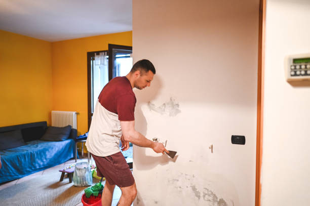 Best Affordable Mold Removal  in Arcola, VA