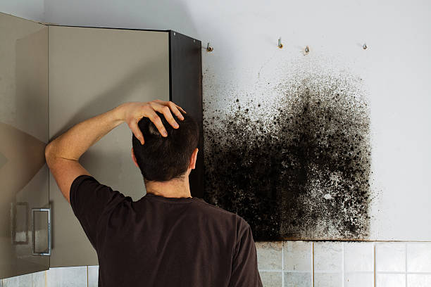Best Mold Removal Specialists  in Arcola, VA